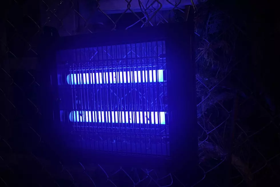 Montana’s Mosquitoes Are Bad. Is Your Bug Zapper Actually Helping?