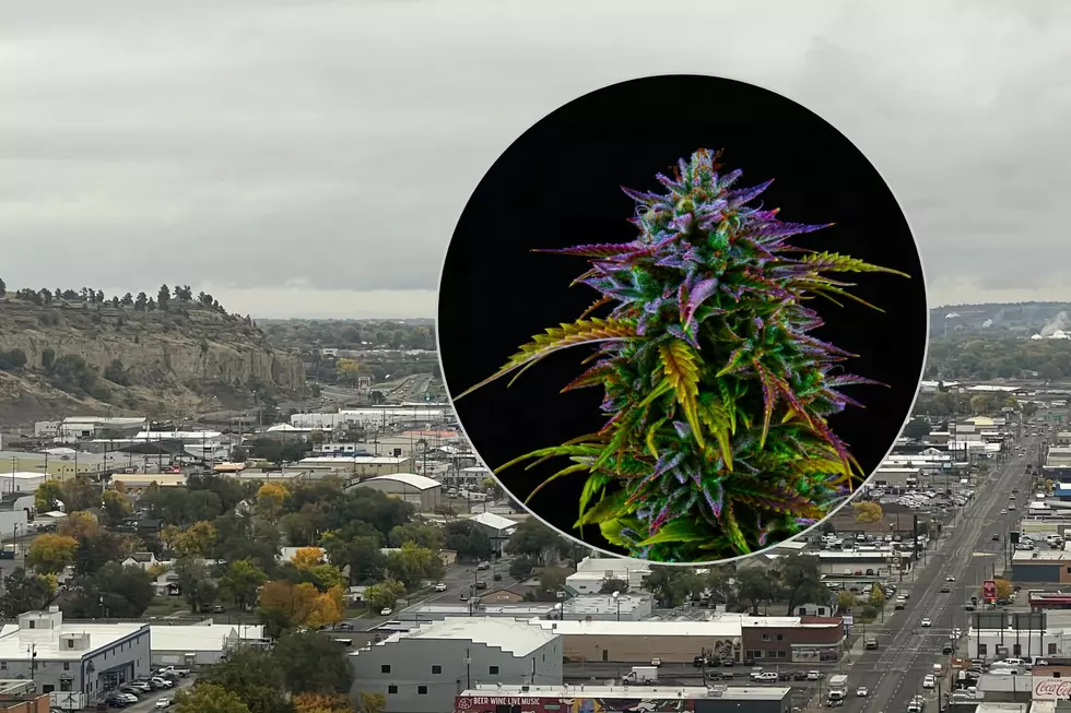 This Free Cannabis Event Is Coming Back to Billings This Weekend
