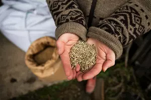 This Montana Farm Family Is Rethinking the Way We Eat Grain
