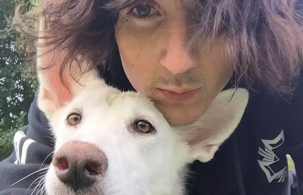 Oli Sykes urges fans to help animal shelter &#8220;under attack&#8221;