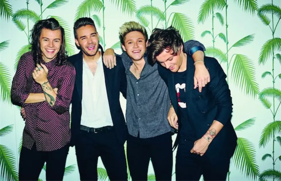 One Direction to go on hiatus, sources say