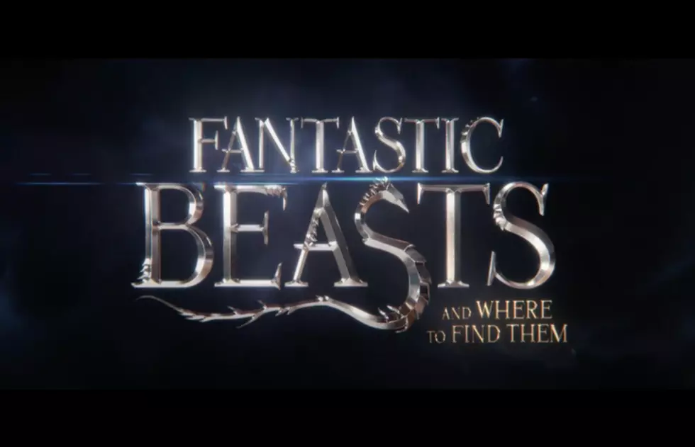 Here’s what we know about the magical new ‘Fantastic Beasts’ sequel so far