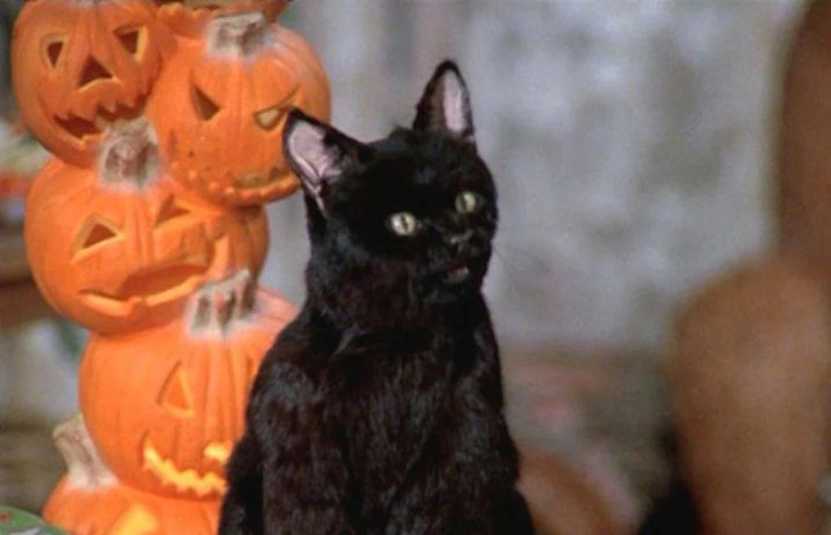 See the edgy first photo of Salem from the ’Sabrina’ reboot