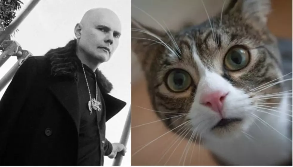 See Billy Corgan on the cover of a cat magazine again