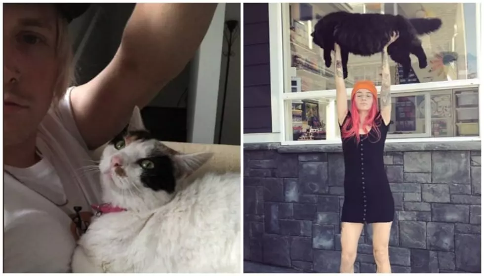 10 musicians who celebrate National Cat Day every day