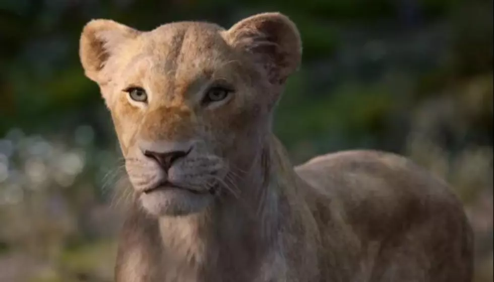 &#8216;Lion King’ classic gets Beyoncé, Childish Gambino cover in new teaser