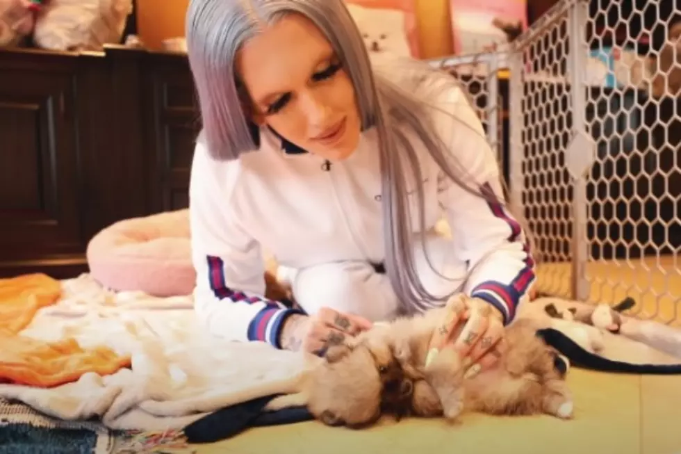 There’s a cool connection between Jeffree Star’s new puppy and late dog
