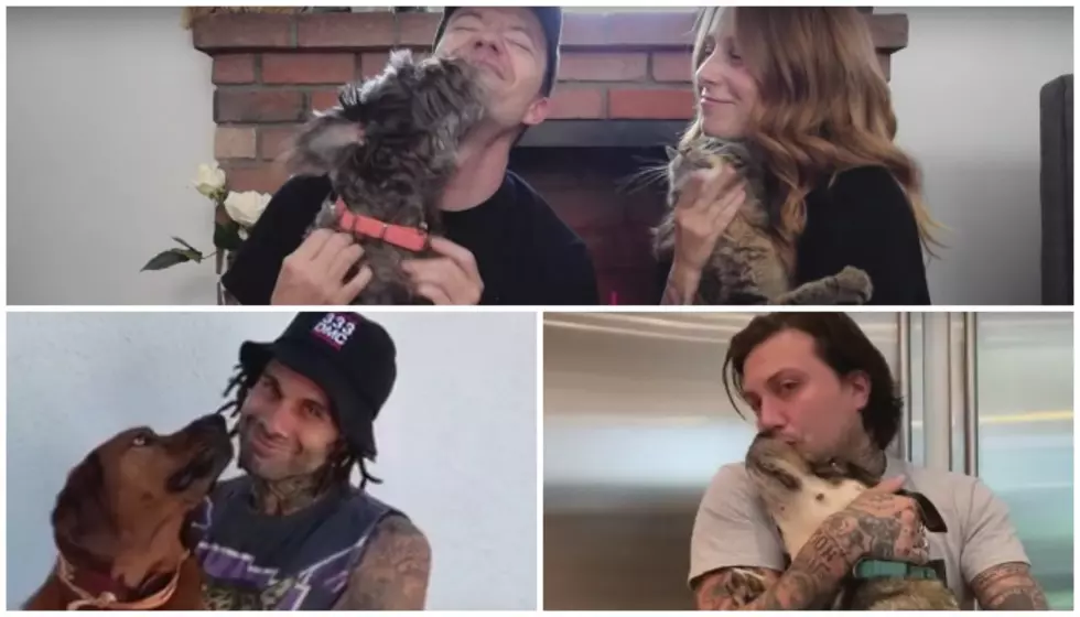 Try to spot every cameo in Touché Amoré’s pet-filled video for “Reminders”