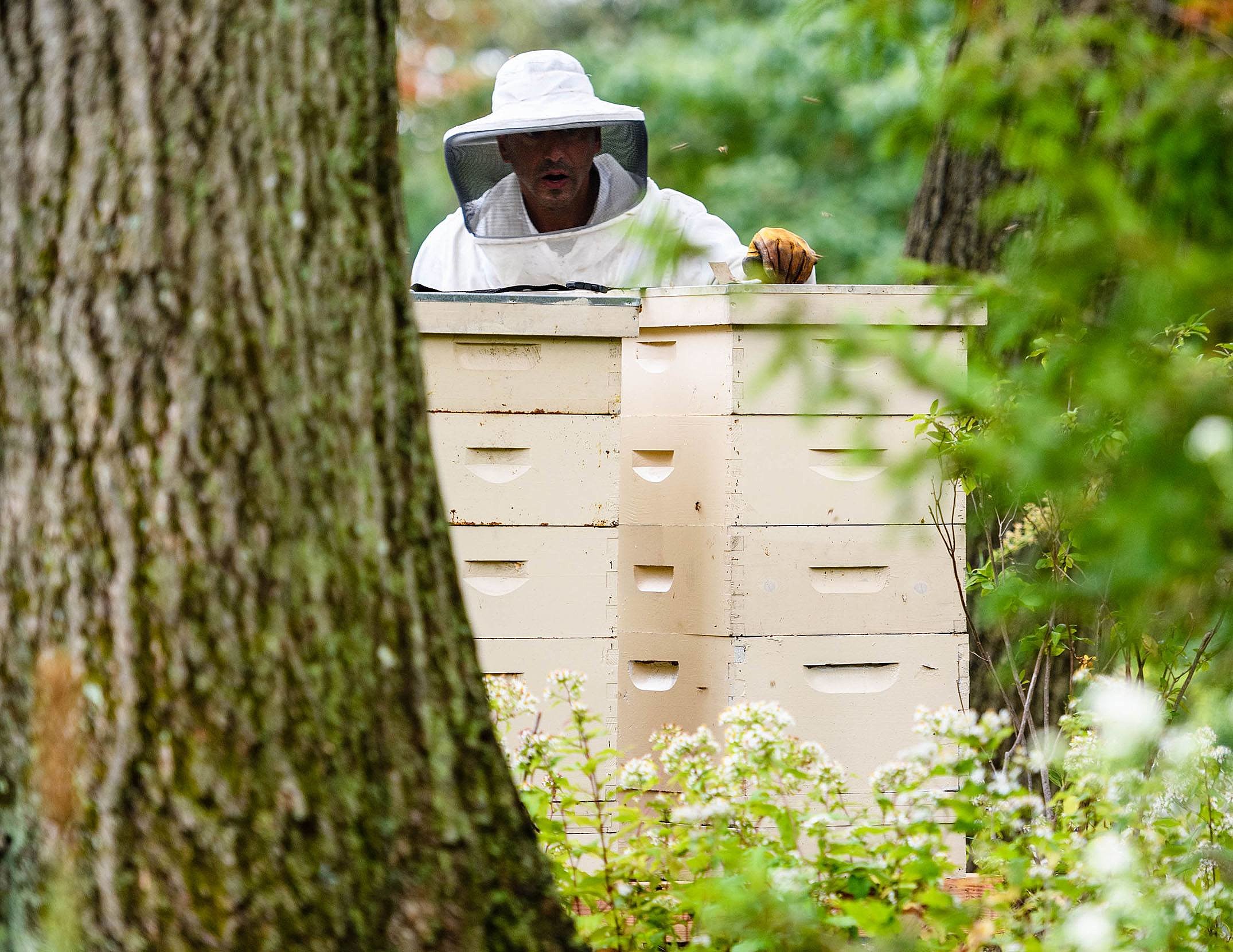 Proposed new bee rules cause concern for local beekeepers