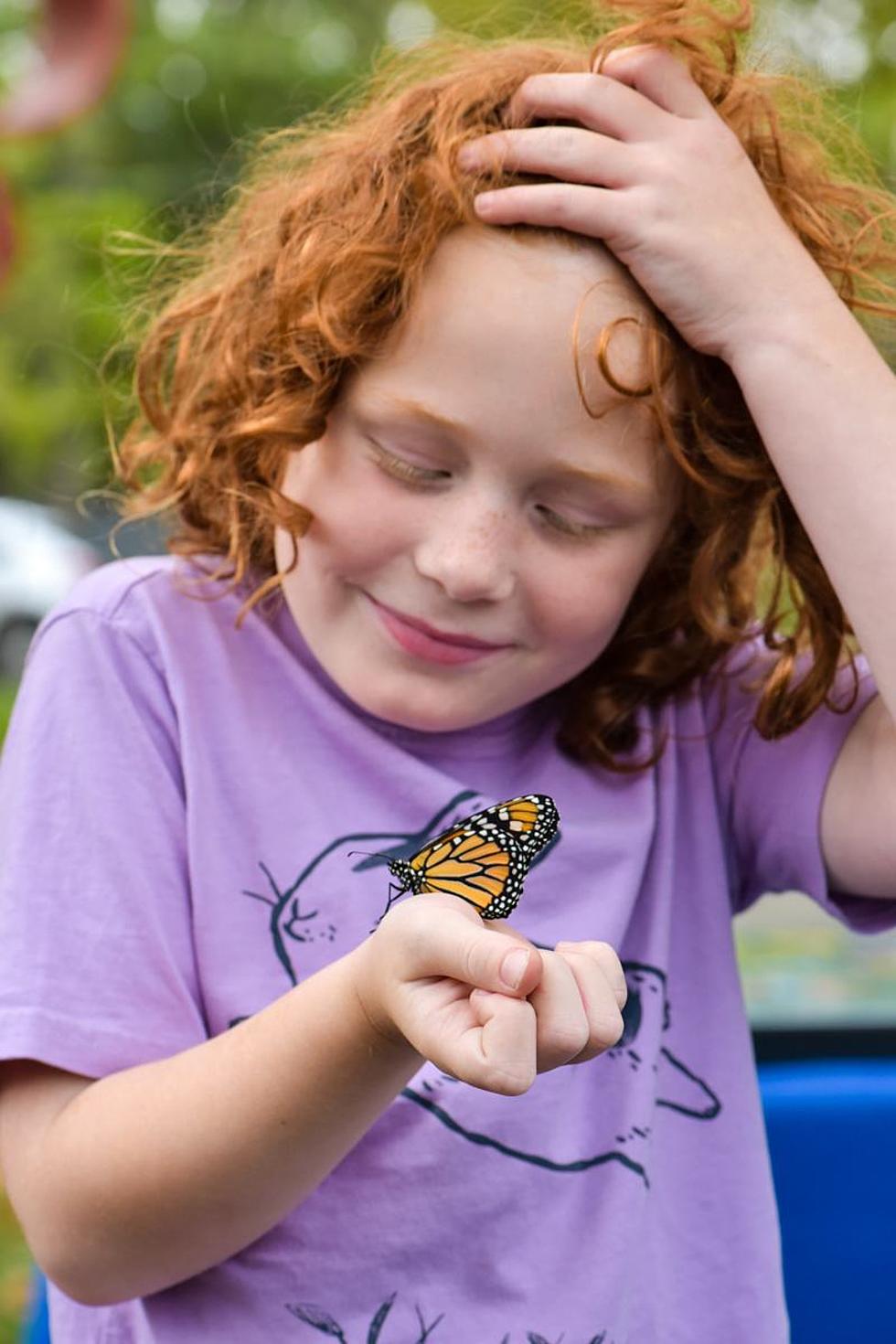 Photos: Monarchs rule in Crane Park