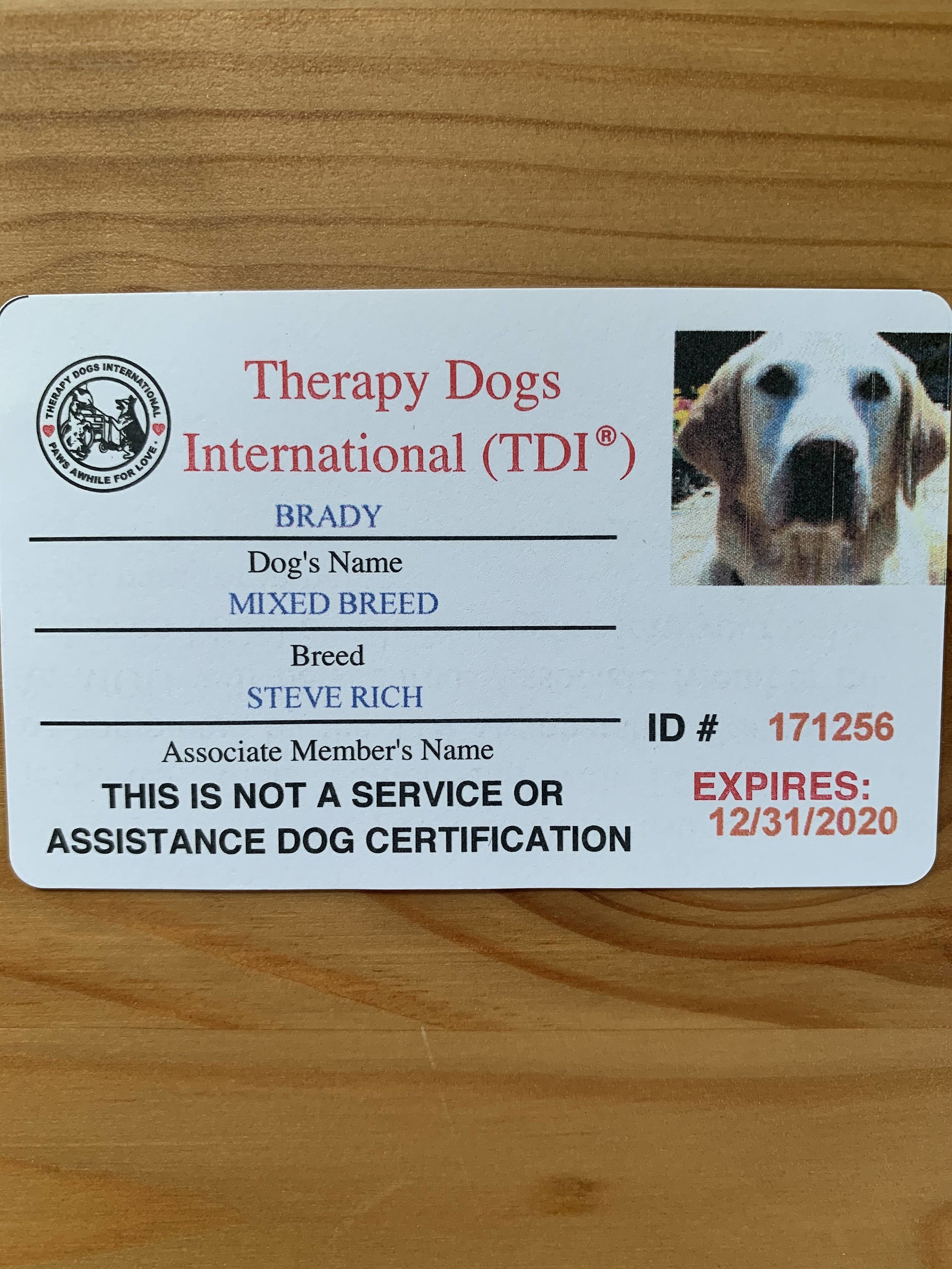 how can i get my dog certified as a therapy dog