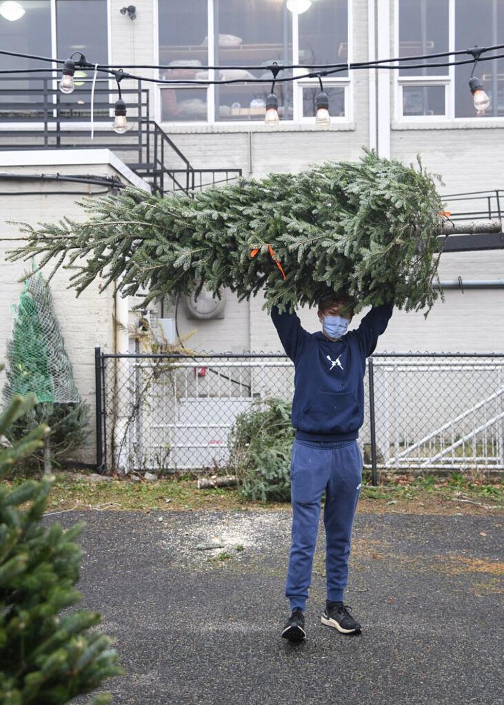 Photos: Boy Scouts sell Christmas trees for schools