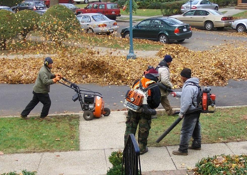 As leaf blower restrictions advance, some worry about effect on industry