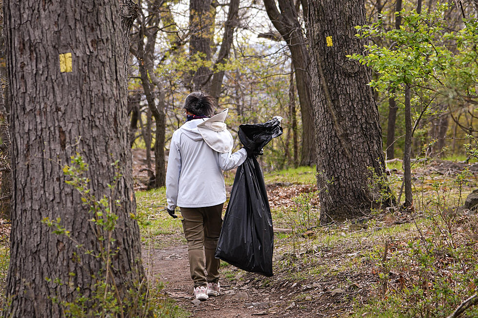 Montclair League of Women Voters hosted Eagle Rock cleanup Saturday