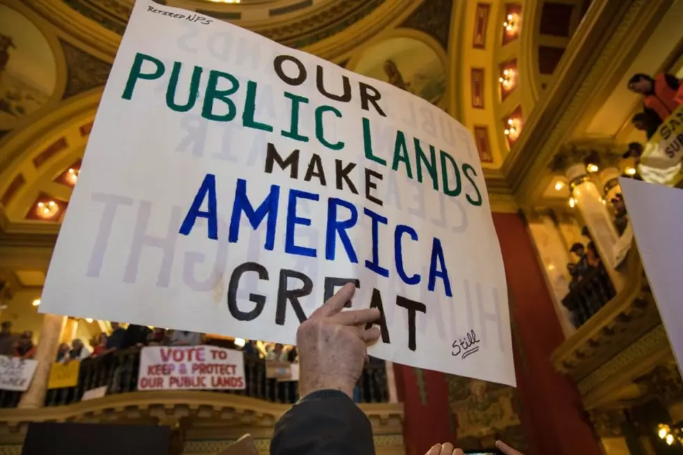 Fox, Williams and Cooney support most public land issues