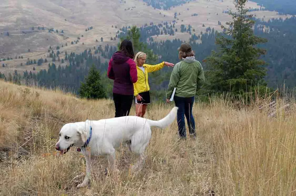 Bullock signs bill restoring Habitat Montana program