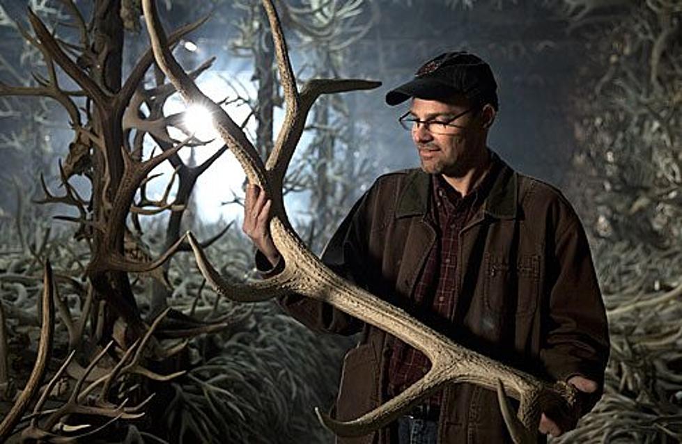 BBC series stars Montana biologist who studies animal weapons