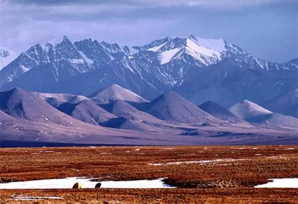 Voters in two Western states oppose ANWR drilling, poll finds