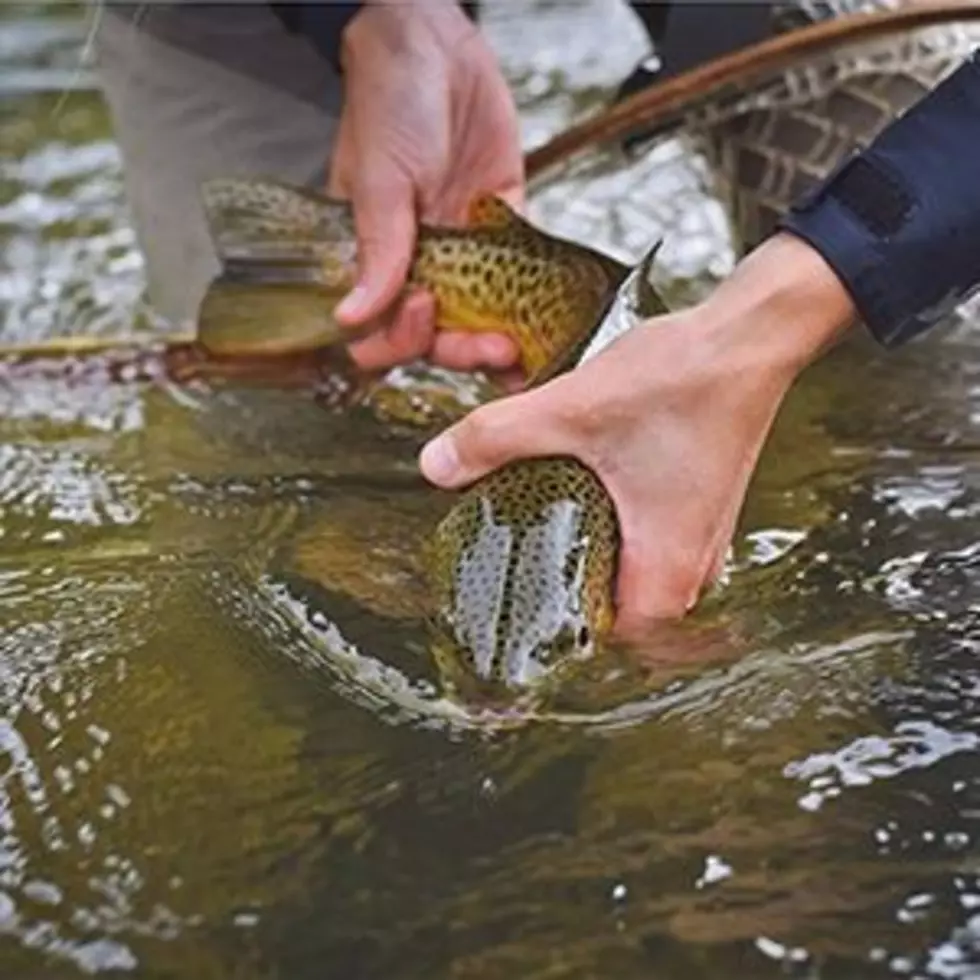 Study: Trout streams, fishing economy need drought resiliency