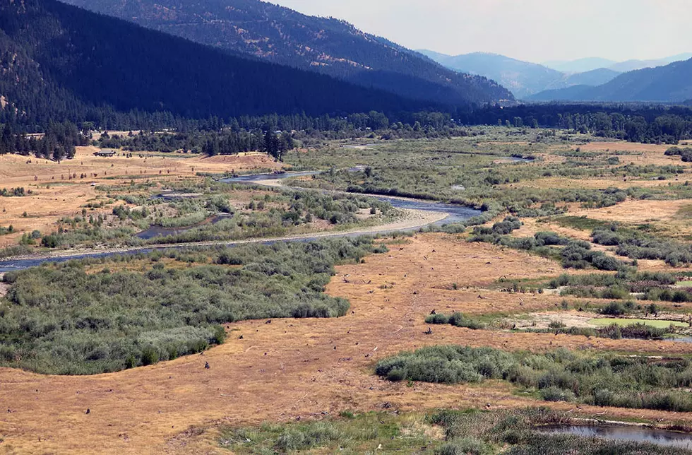 Wood-products pollution found at numerous Clark Fork locations