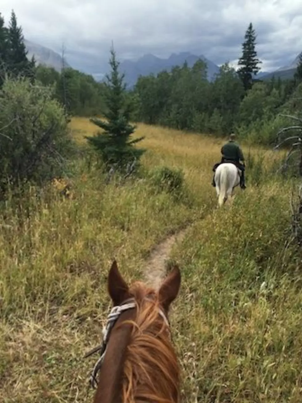 Border Patrol agents nab illegal Irishman on trail near Glacier National Park