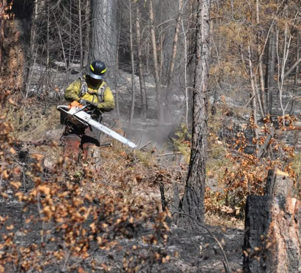 Lolo Forest to begin prescribed burns in Missoula, Seeley and Ninemile districts