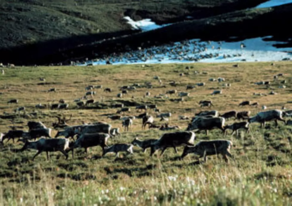 Alaskans debate pros, cons of oil drilling in pristine Arctic refuge