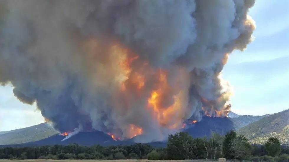 State agencies to Bullock: COVID-19 won’t hinder wildfire suppression