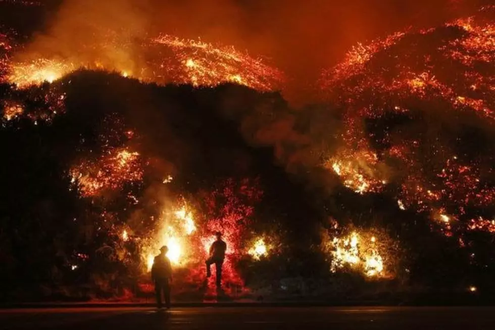 Montana Voices: Using wildfires as an excuse to plunder forests