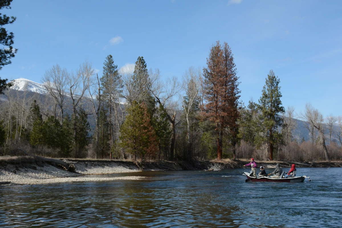 DEQ releases voluntary nutrient plan for the Bitterroot River