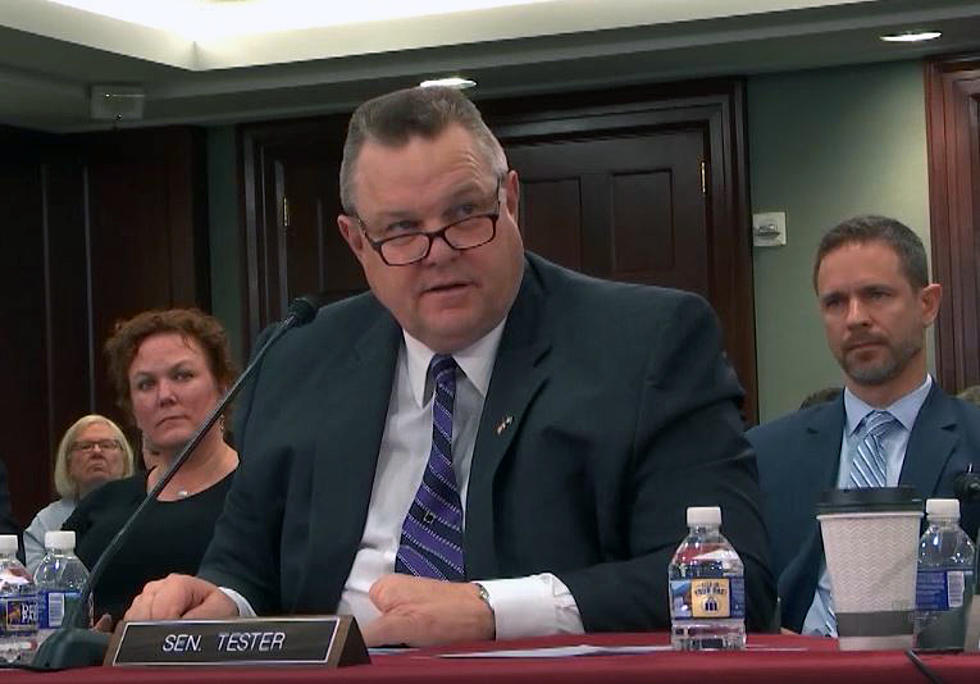 Tester campaign responds to jungle primary bill heard in House committee