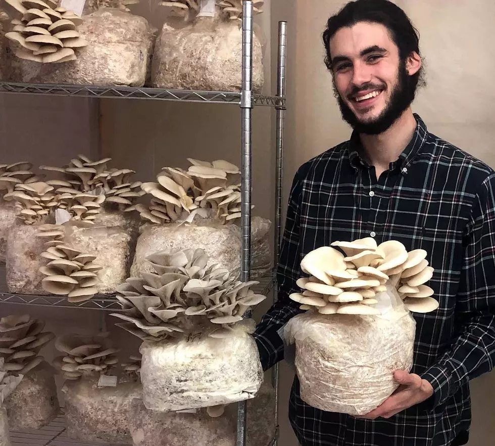 Front Street Fungi meets Missoula&#8217;s demand for locally grown mushrooms