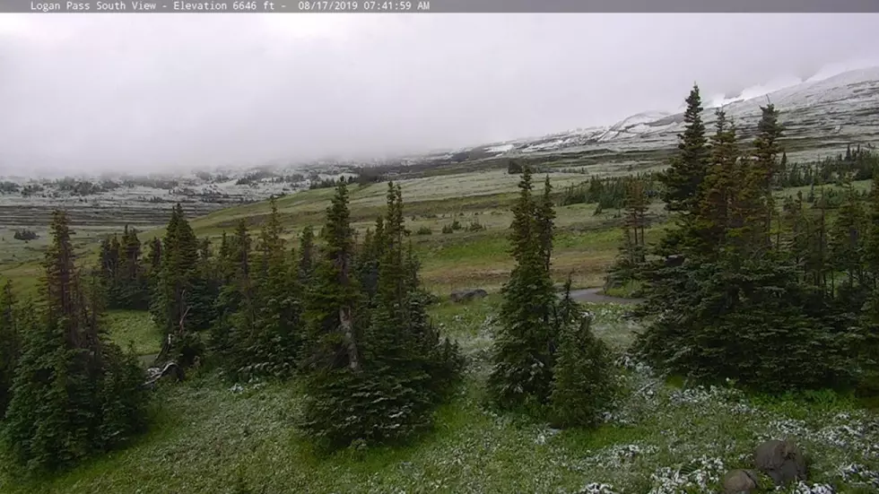 Snow sets in on Glacier National Park, in August