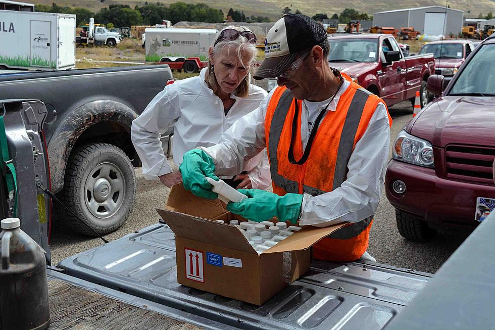 Missoula County accepting household hazardous waste during collection days