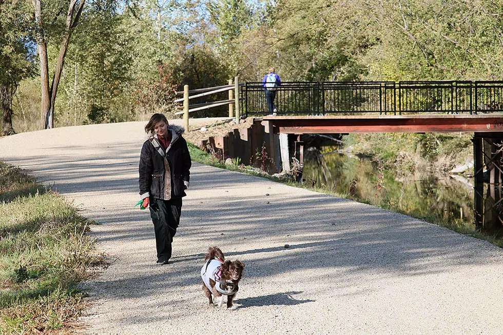 A woman walks her dog on a trail along the irrigation ditch and Broadway Island. (Martin Kidston/Missoula Current file)