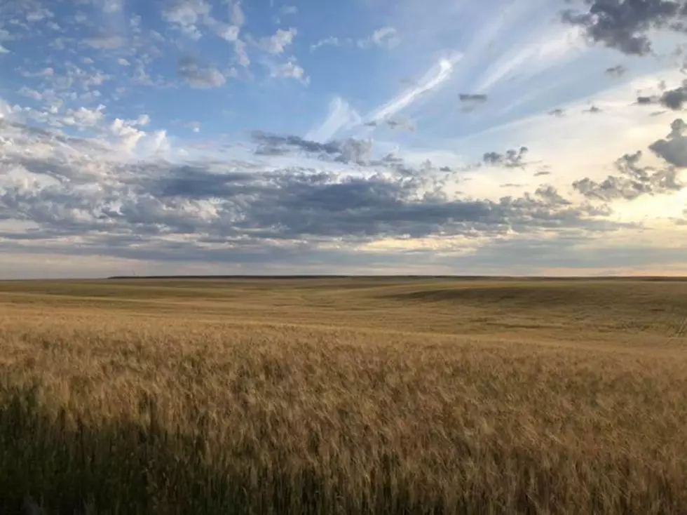 International Study: Montana faces higher temps, less snow, more drought
