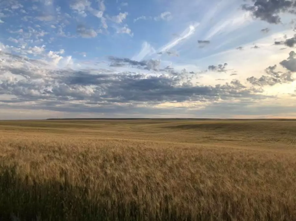 Drought intensifies and expands across the American West