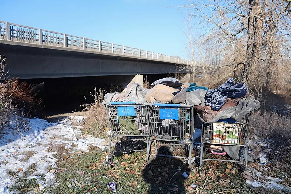 MDT to erect fence under Reserve Street bridge as officials seek new homeless camp