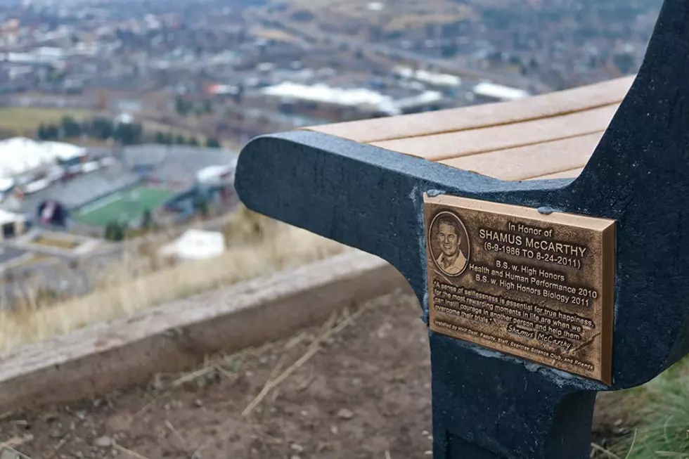 A place to pause: Benches on M Trail commemorate UM professors with a view