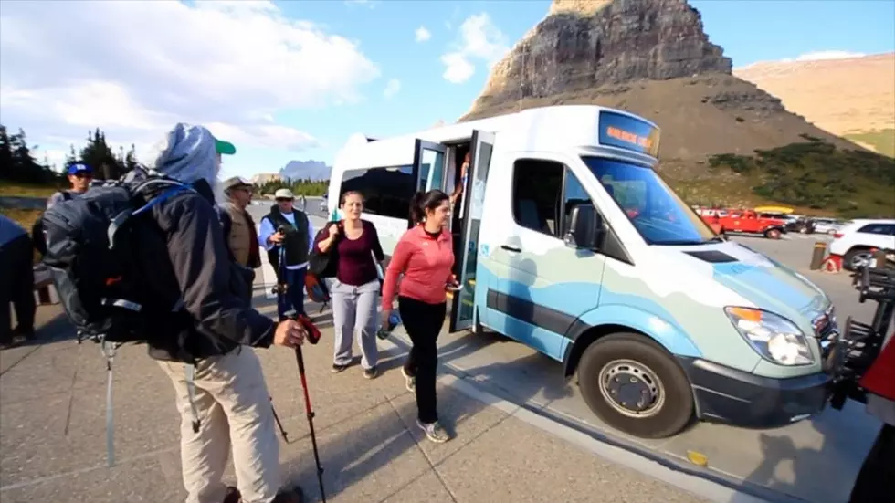 Glacier reports 41% increase in visitors on Going-to-the-Sun Road