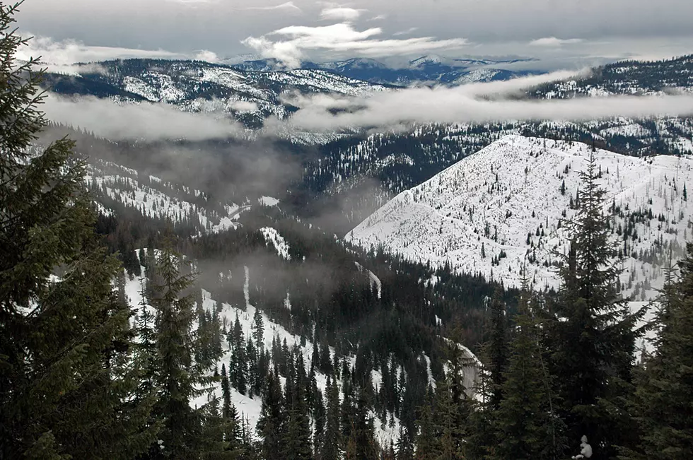 Forest advocates: Nez Perce Clearwater Forest plan favors resource extraction