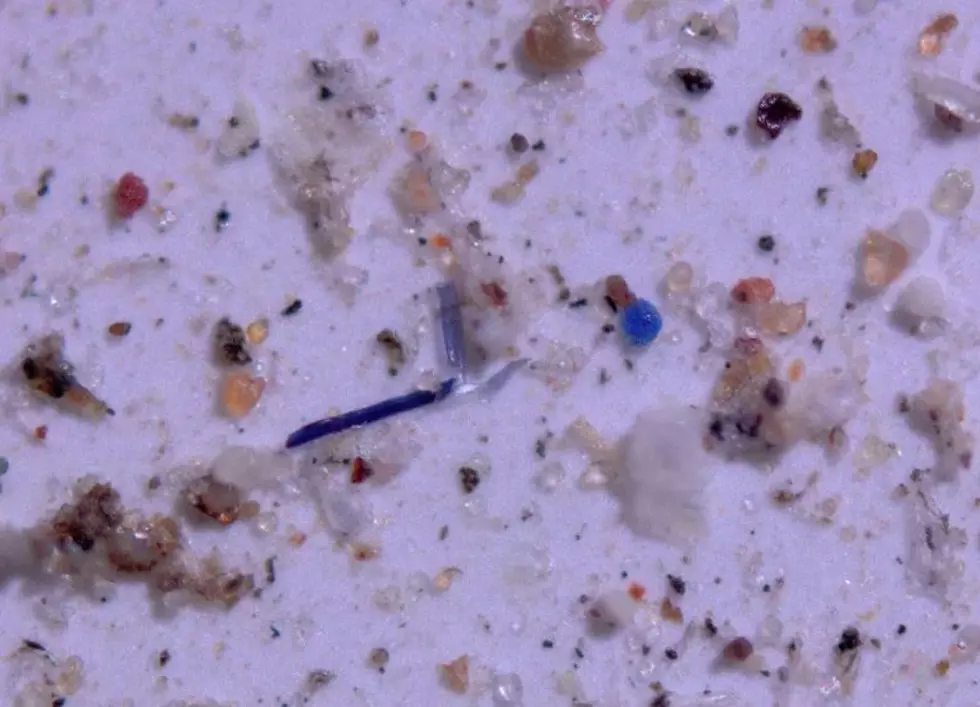 Scientists find tons of microplastics polluting national parks in Western U.S.