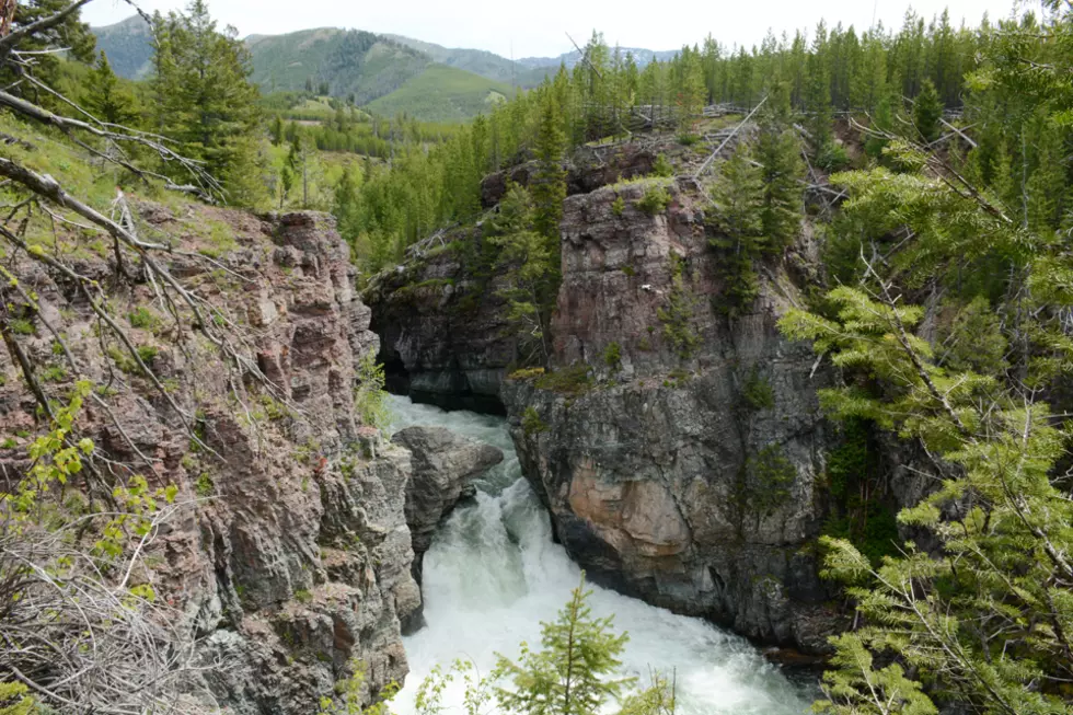 FWP proposes restoration of westslope cutthroat in Scapegoat Wilderness