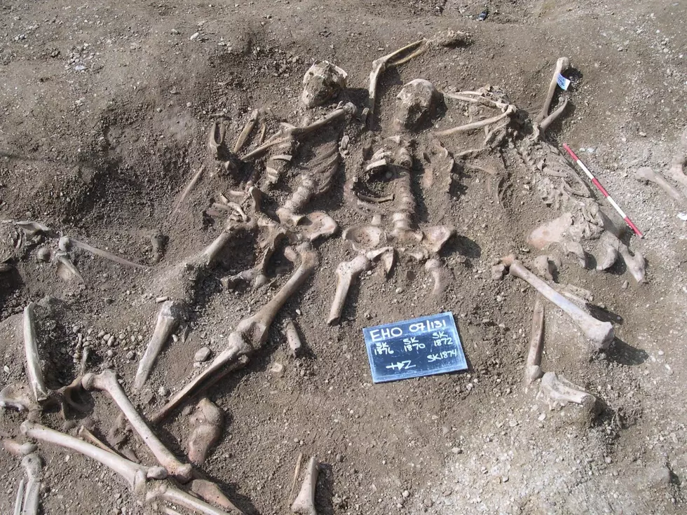 Scientists find smallpox in Viking skeleton teeth, marking earliest sign of plague