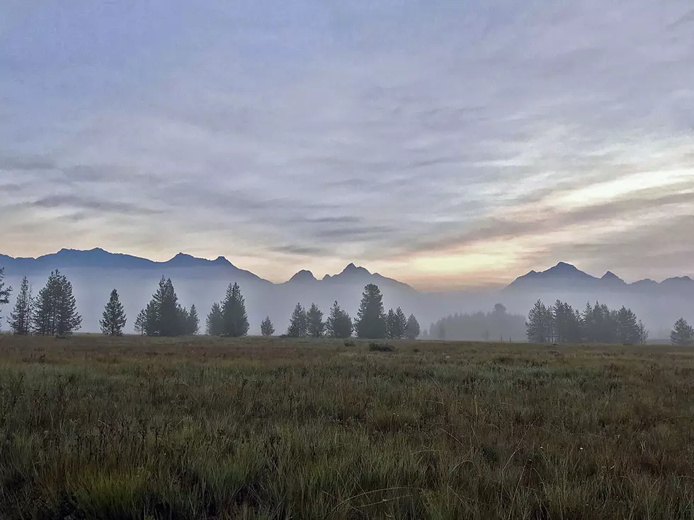 Lawsuit says Flathead NF plan doesn’t protect threatened species