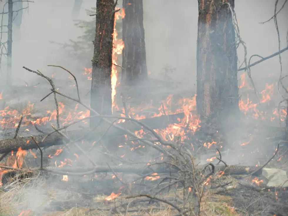 Lolo and Bitterroot national forests stay on top of wildfire starts
