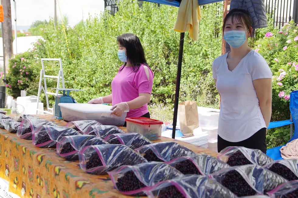 Huckleberry close to becoming Montana’s first state fruit