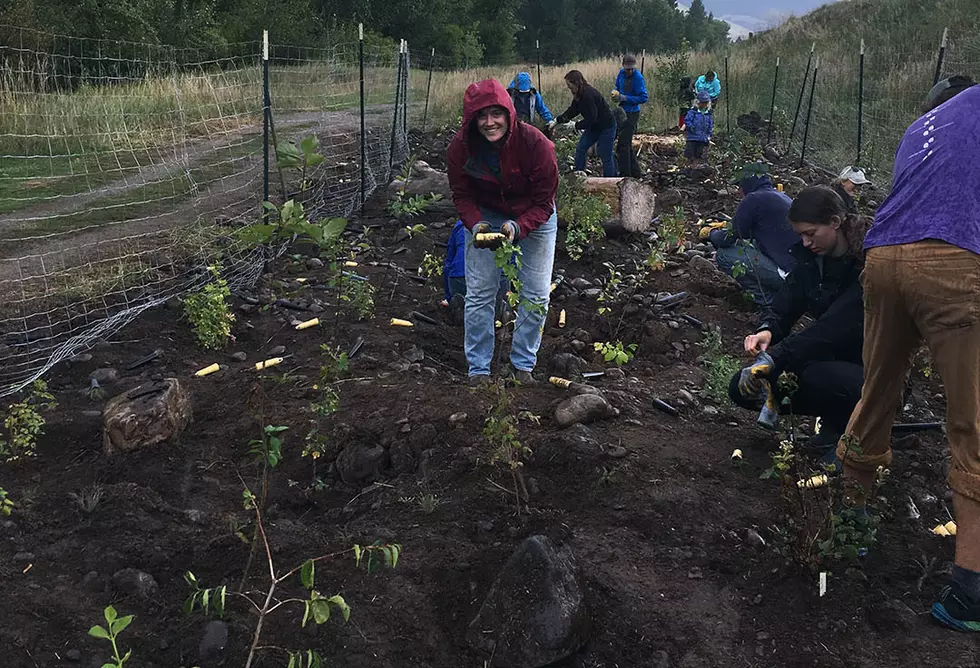 Sustainable Missoula: Getting dirty on Public Lands Day
