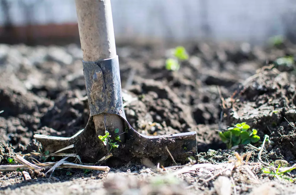 Sustainable Missoula: Tending our gardens, cultivating resilience