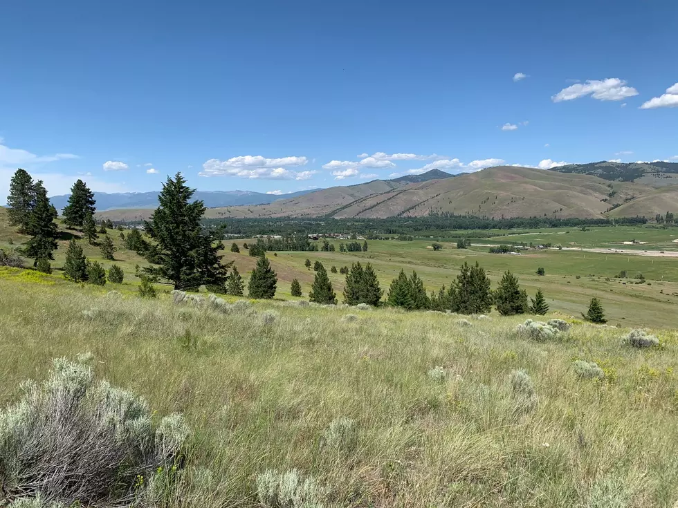 Maclay Ranch easement sought for wildlife migration across Bitterroot Valley